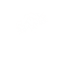 Tholch Brew